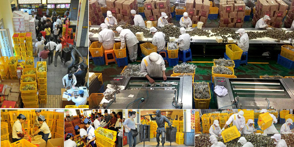 富事達(dá)為嘉興五芳齋集團(tuán)提供粽子專(zhuān)用塑料周轉(zhuǎn)箱